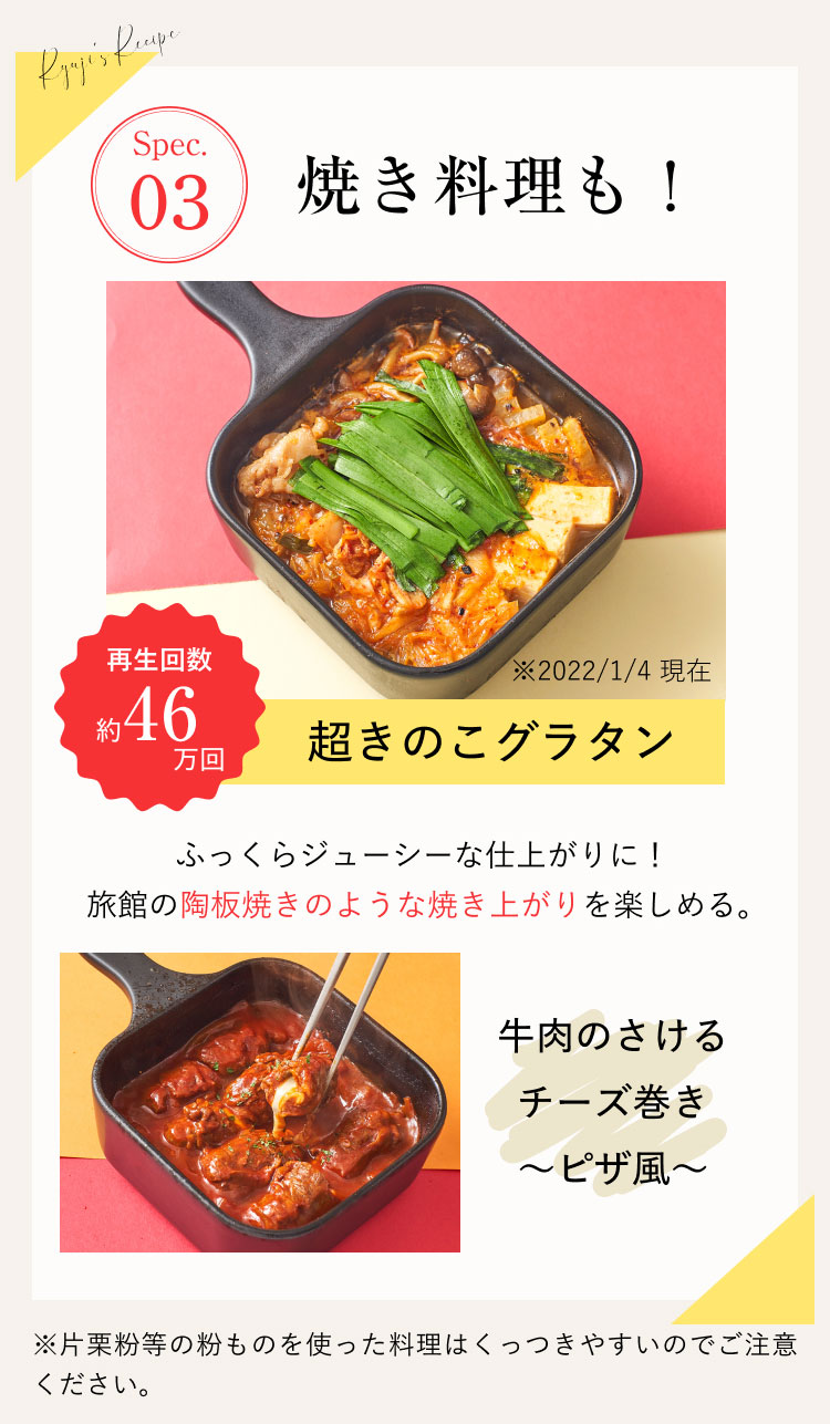 料理研究家 リュウジの万能スキレットLarge リュウジ スキレット 焼く