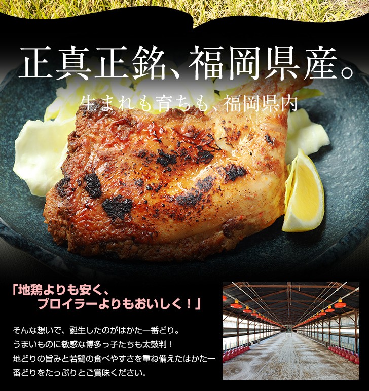 がぶり鶏 骨付き鳥 3本入 もも肉 はかた一番どり 居酒屋メニュー はかた一番どり