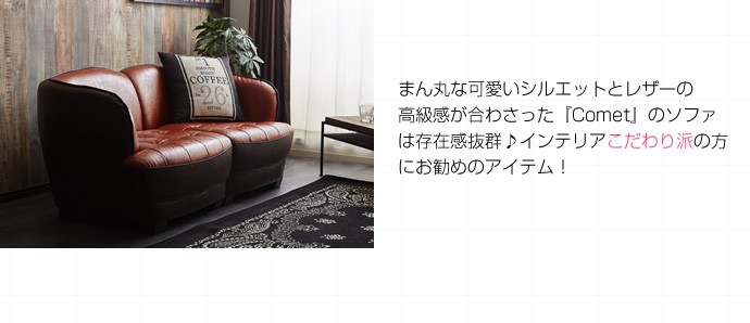2WAY 2人掛けソファ イーナ 118005-BRブラウン 代引不可 同梱不可 : 壱 