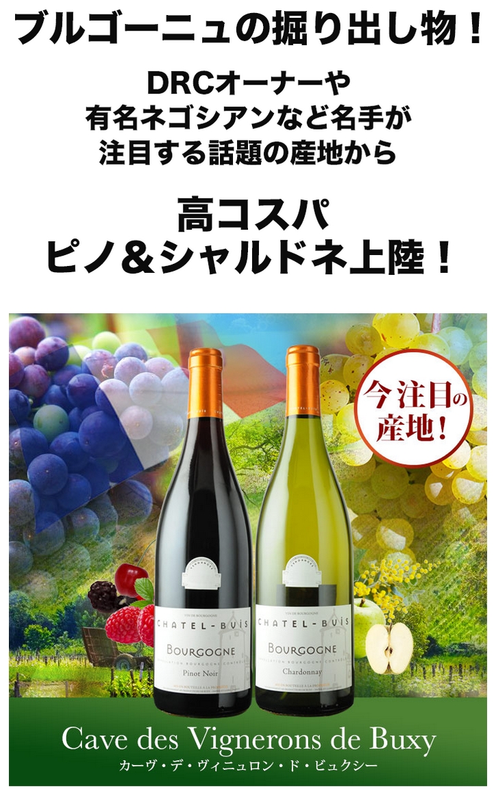 シャテル・ビュイ・ブルゴーニュ・ピノ・ノワール 赤ワイン 750ml