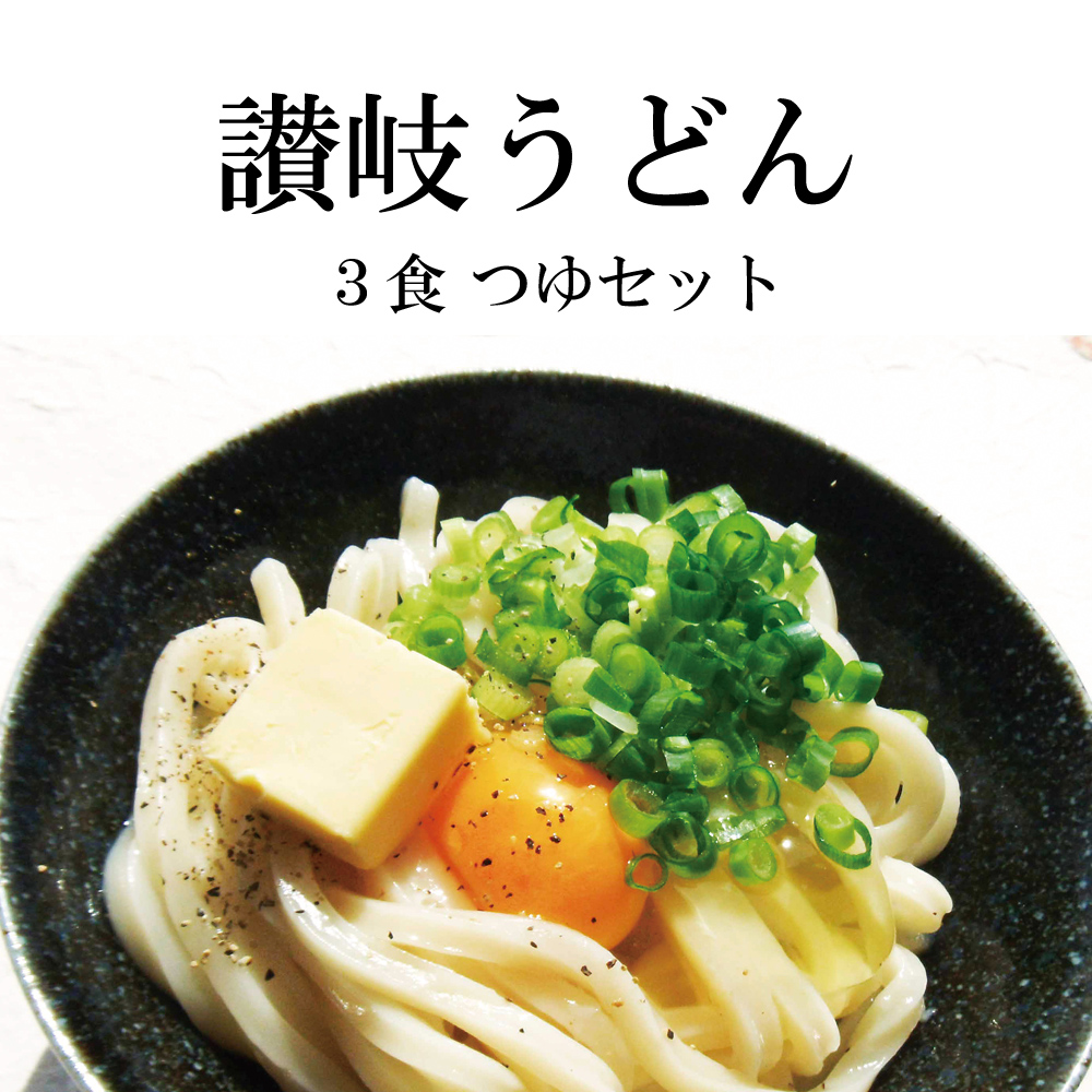 日清ウェルナ 川田製麺 讃岐ざるうどん 乾麺 2ケース 400g×20袋入× 送料無料 麺類 うどん 一般食品