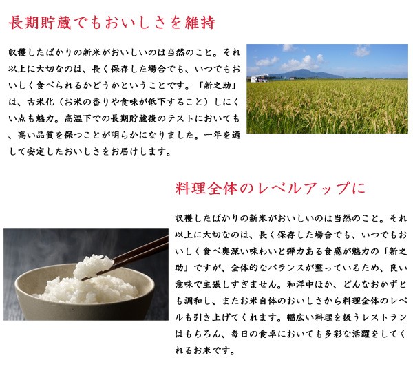 2023年度産 新米 新潟県産 新之助 5kg 白米 (精米済) 冷めてもおいしい