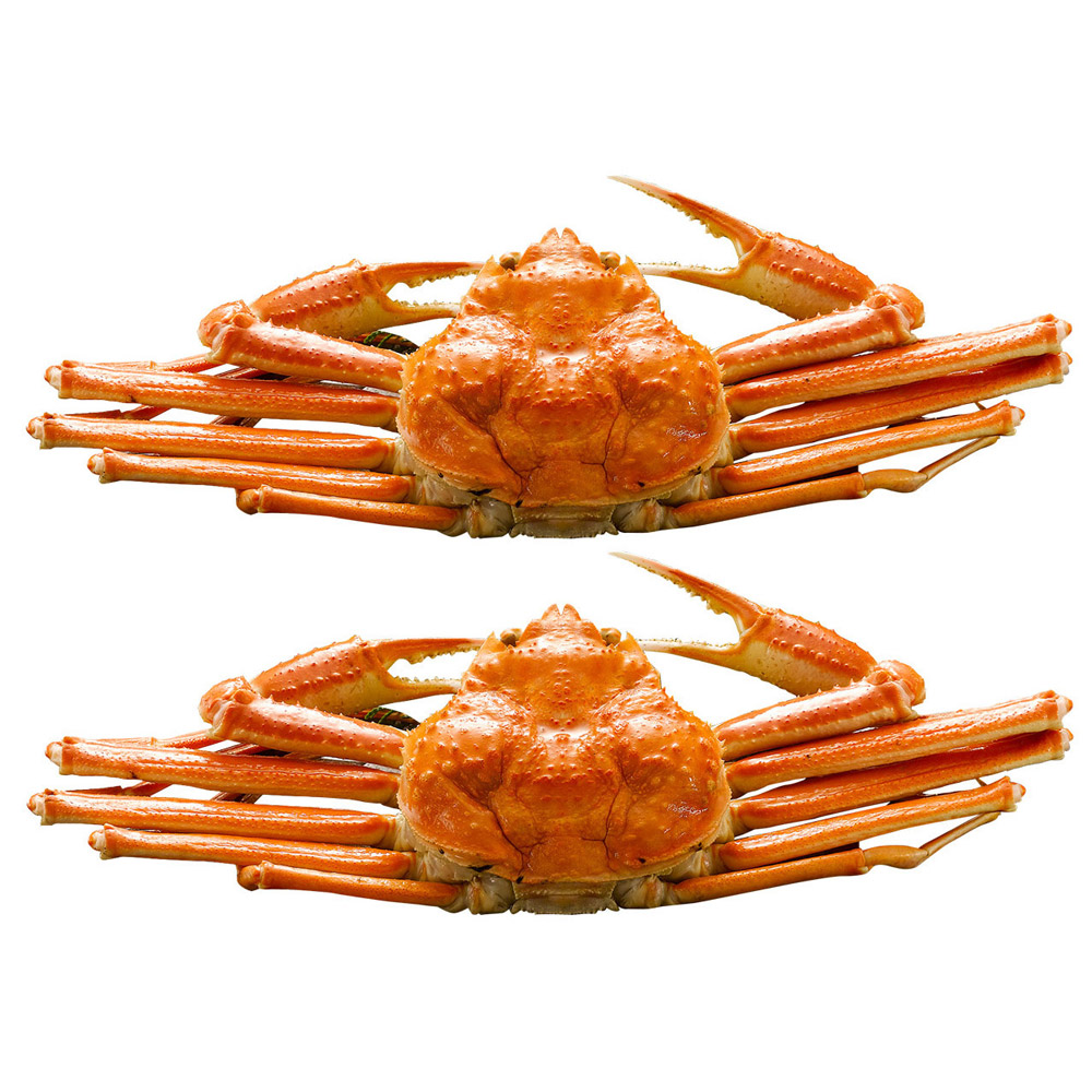 ボイルずわいがに姿 ZHB452 カニ かに ずわいがに 本ずわいがに ずわい