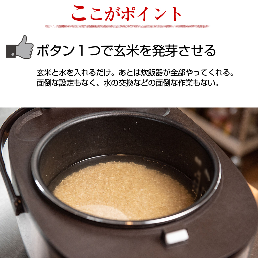 発芽玄米炊飯器 炊飯器 炊飯ジャー 保温 健康サポート炊飯器 玄米