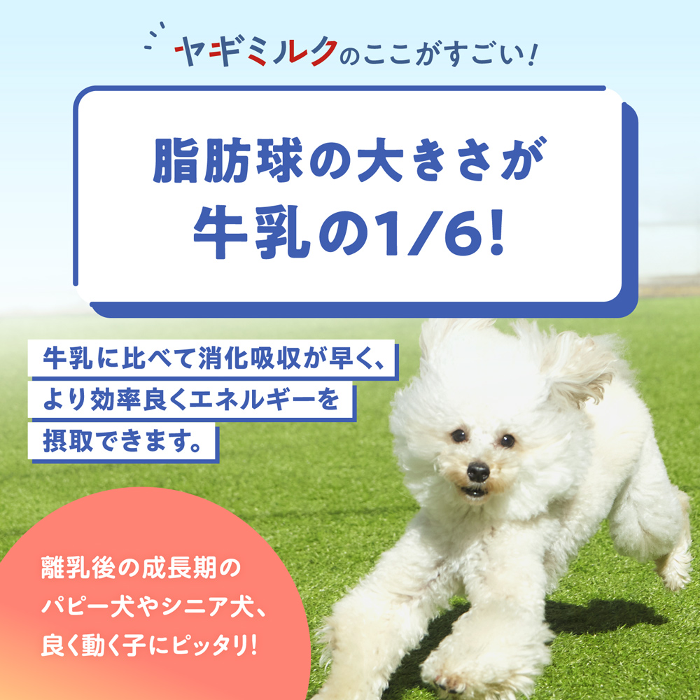 毎日のごちそうヤギミルク 50g 獣医・トリマー監修 犬用 猫用