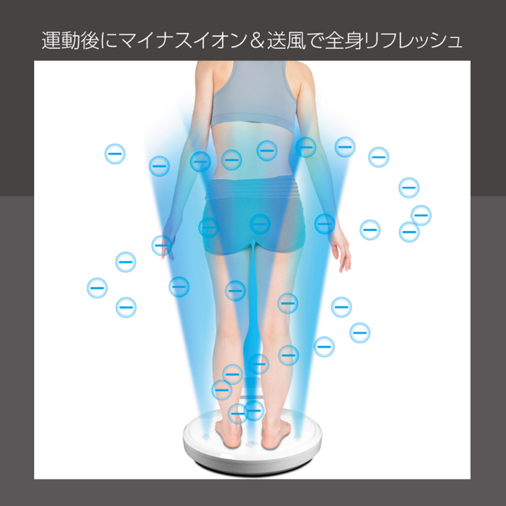 全身イオンドライヤー 乗れる扇風機 イオン ドライヤー ボディドライヤー 温風 送風 ヒロ・コーポレーション HTD-360 : htd-360 :  壱番館STORE Yahoo!ショッピング店 - 通販 - Yahoo!ショッピング