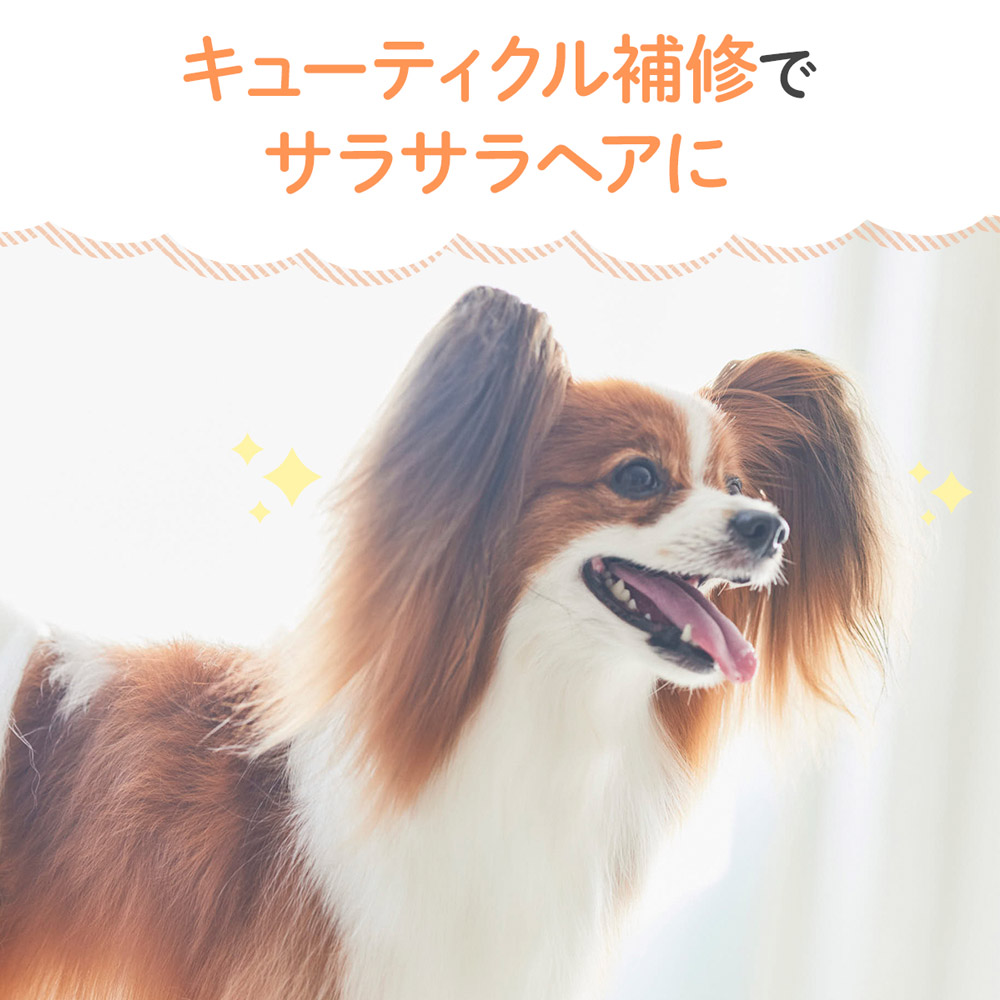 動物アレルギー検査株式会社
