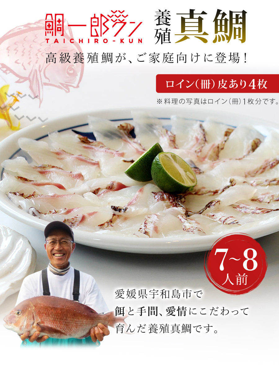 真鯛 鯛一郎クン 冊 皮あり4枚 冷凍 7〜8人前 下処理済み 刺身 煮魚 塩焼 原魚1.8〜2.2kg : taichiro-kun-f-rk :  壱番館STORE Yahoo!ショッピング店 - 通販 - Yahoo!ショッピング