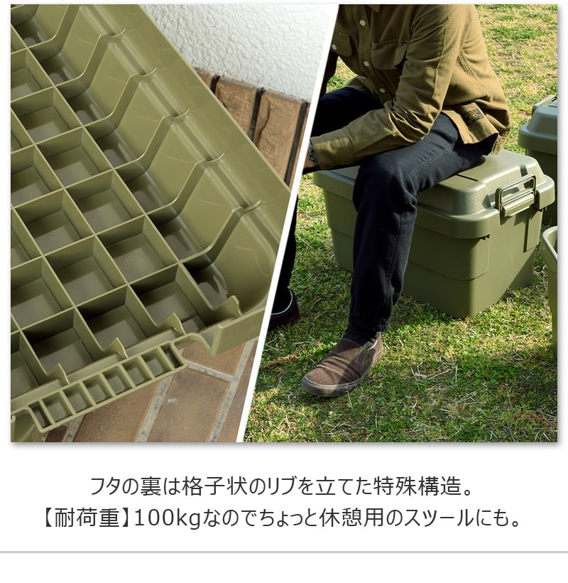東谷 トランクカーゴ 30L 座れる 収納ボックス 収納ケース コンテナ