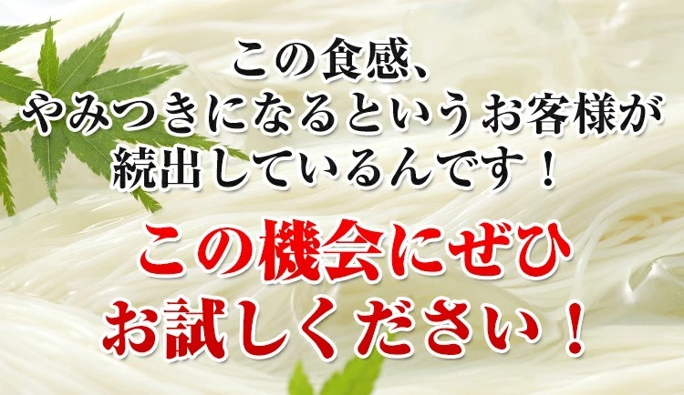 「訳あり手延べそうめん」の紹介