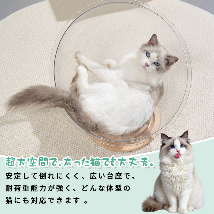 キャットハウス一体型テーブル 猫用ベッド 肉球デザイン 猫ベッド 猫 ベッド ペットベッド キャットハウス 透明 半円形 球体