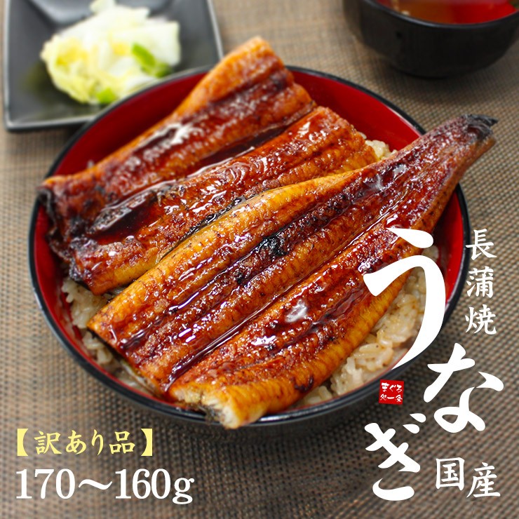 うなぎ ウナギ 国産 長蒲焼き(160g〜170g)×2尾 送料無料《eel-ue1》〈ue1〉yd9[[ウナギ長蒲焼き-2p]  :10001754:まぐろ処一条 - 通販 - Yahoo!ショッピング