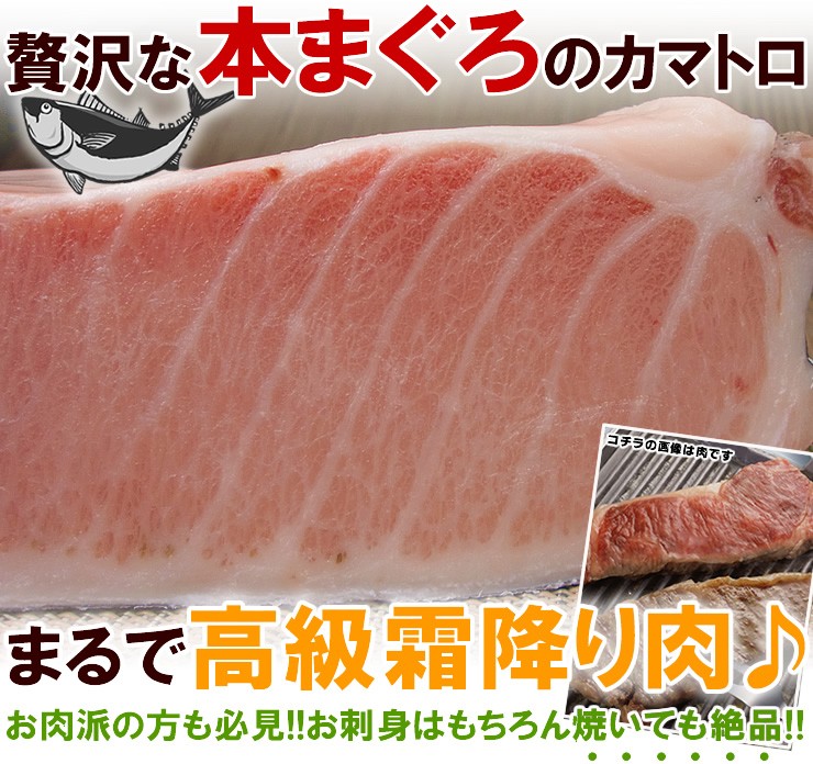 本マグロカマトロ450g 送料無料 《pbt-bf19》〈bf1〉[[カマトロ450g