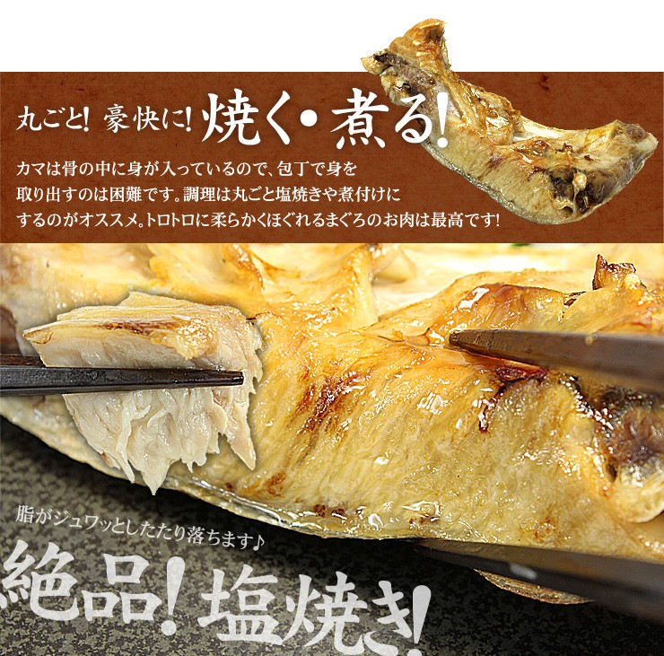 南マグロの大トロカマ1kg BBQ バーベキュー 海鮮 《pbt-km1》〈km1〉yd5[[大トロカマ1kg] :kama1kg:まぐろ処一条 -  通販 - Yahoo!ショッピング