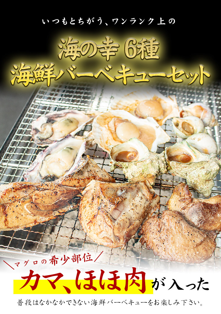 海鮮バーベキュー セット 詰め合わせ 6種 約4人前 送料無料 os〈bbq22〉yd9[[海鮮BBQセット] :10003405:まぐろ処一条 -  通販 - Yahoo!ショッピング