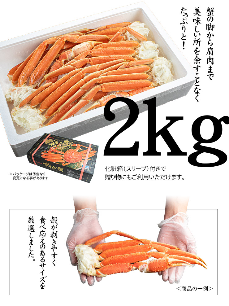 ズワイガニ ずわいがに ボイルズワイ蟹脚2kg（5~8肩入）送料無料