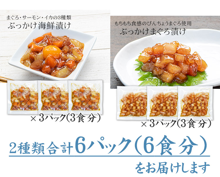 海鮮漬け6食セット ぶっかけ海鮮づけ まぐろ漬け サーモン イカ 送料