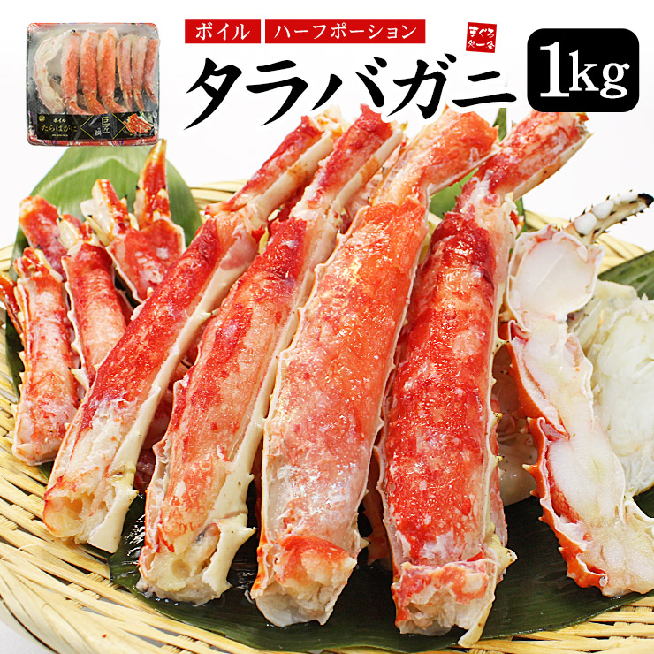 (未開封)''バラ売り専用''/１体¥990〜/在庫各１体のみ バラ苗【中苗】NOAtraum 国産苗 6号鉢植え品《J-FL20》 | すべての商品