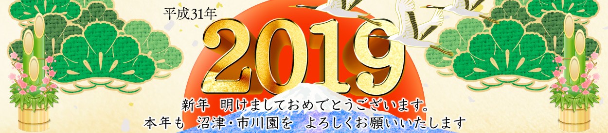 静岡茶の通販 沼津 市川園 Yahoo ショッピング