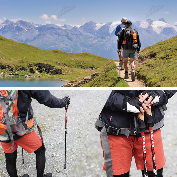 (あすつく) DABADA(ダバダ):トレッキングポールSG シルバー a-pole トレッキングポール 登山 ウォーキング DABADA(ダバダ) | DABADA | 12