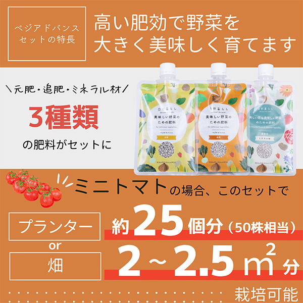 【あすつく】日東エフシー ベジアドバンスセット240g VAS240G |  | 01