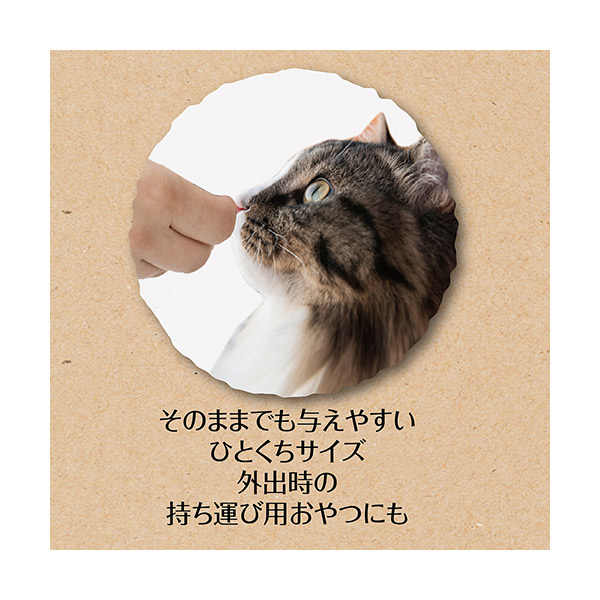 ペティオ 素材フリーズドライCat マグロ 9g 4903588133206 |  | 02