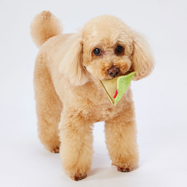 ペティオ 犬用おもちゃ へちまレザー デンタルTOY ピラミッド 4903588264115 |  | 03