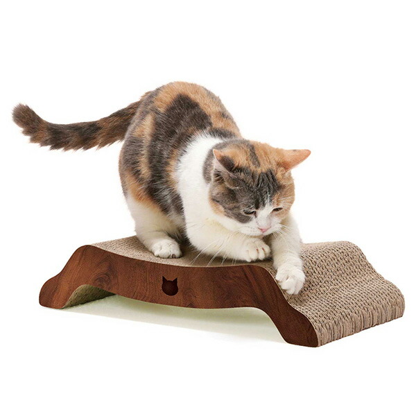 猫壱 バリバリベッドM ダークブラウン 4580471868027 |  | 02