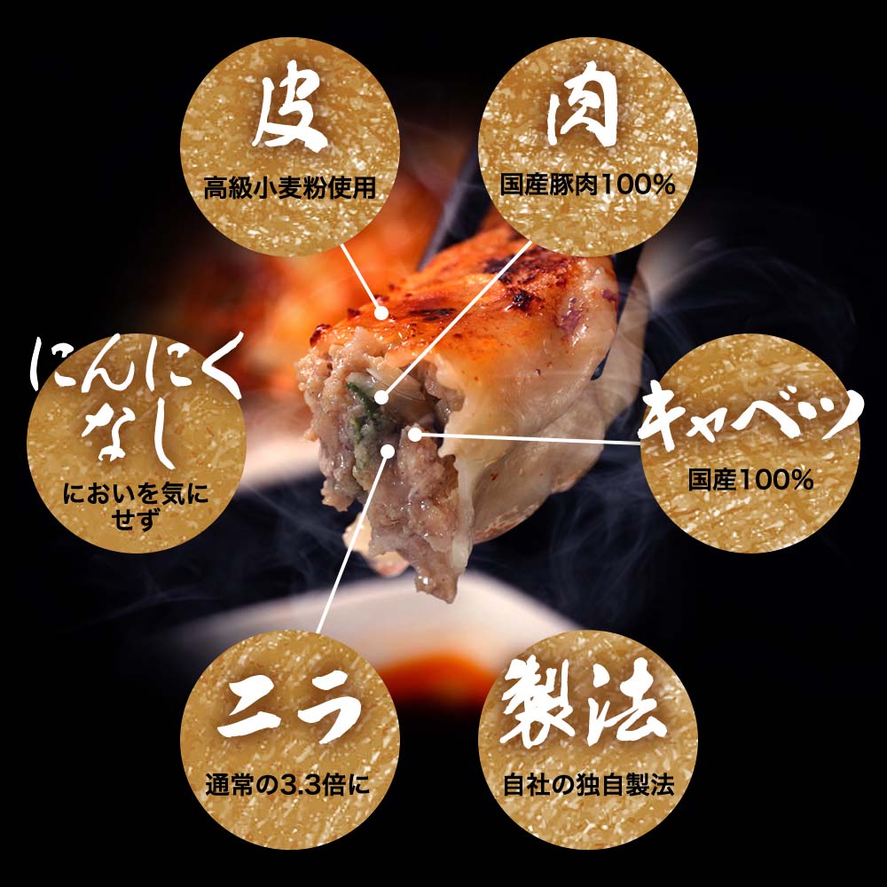 肉増し餃子各バランス