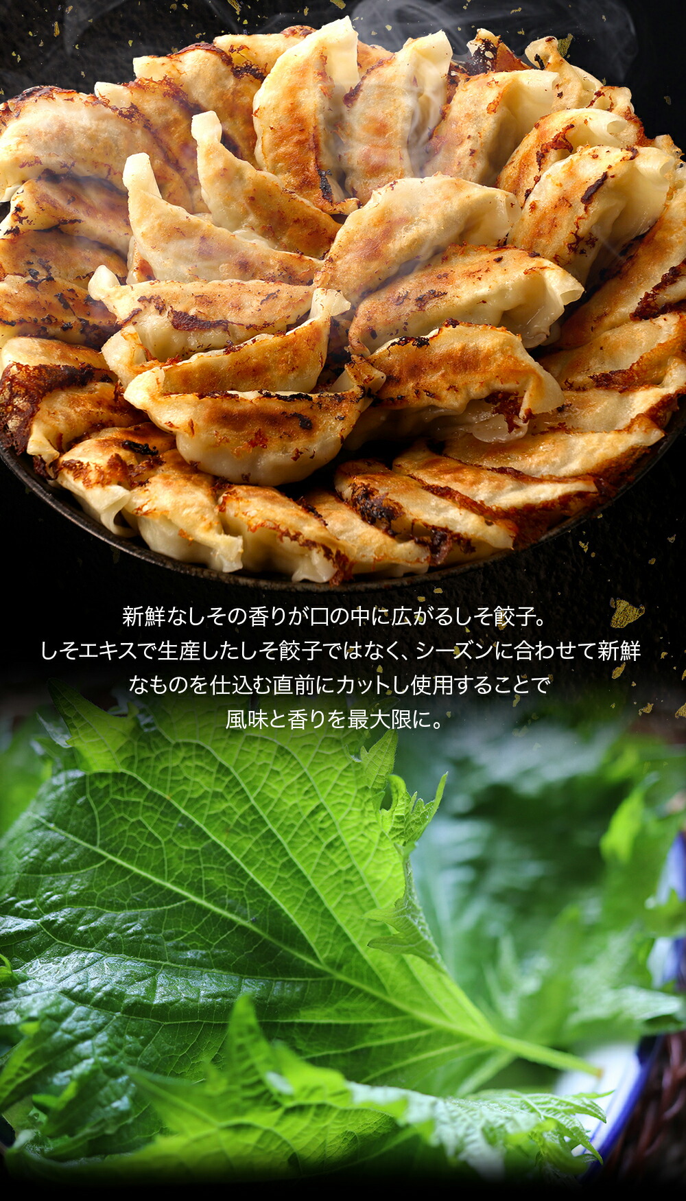 しそ餃子画像