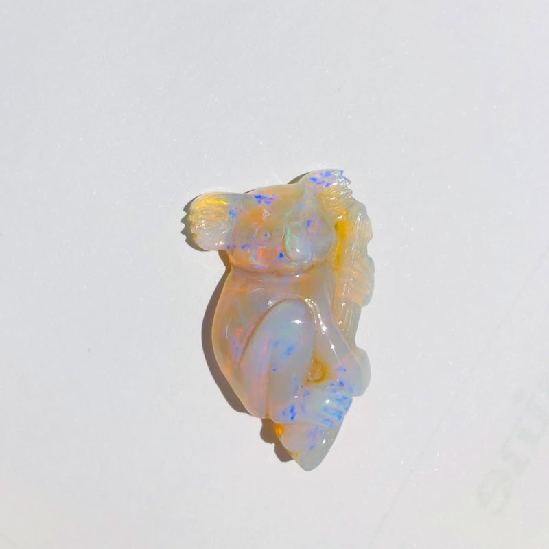 stn01_111918_y9.jpg