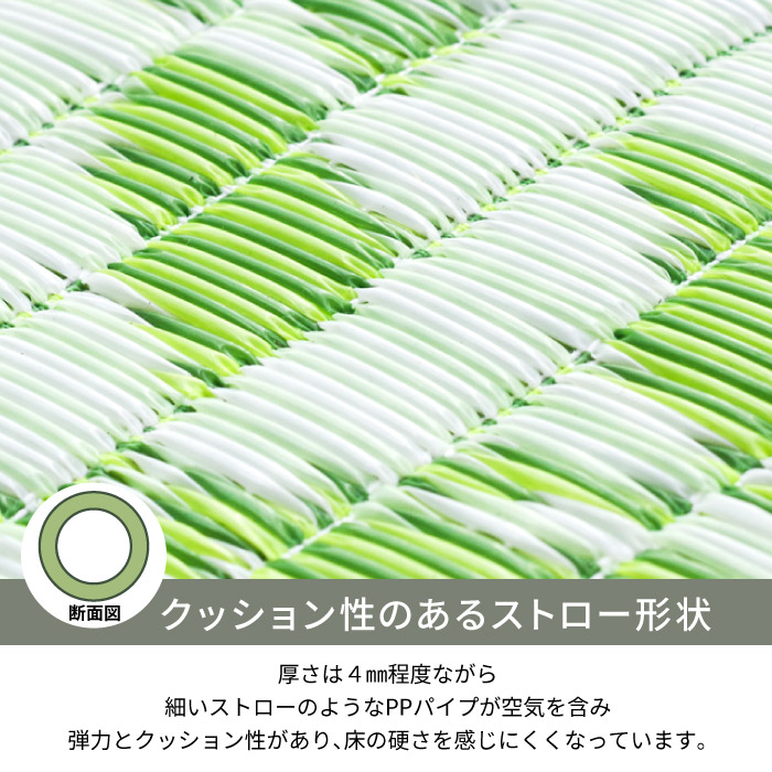 ラグ 洗える 10畳 352×440cm 江戸間 ビニール風 防炎 爽やか 集会所 集会場 カーペット 微クッション性 長方形 十畳 本州/四国:送料無料 / い草風PPござ小花 / |  | 04