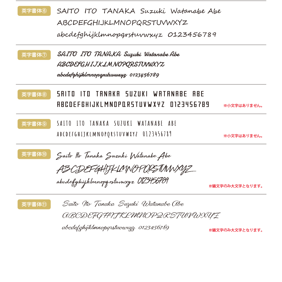 ネームタグ ゴルフ 名入れ ベルト 犬 猫 おしゃれ スーツケース 刻印 飛行機 旅行 ネームプレート 名札 ゴールド アクリル マーカム MARCAM Lacuna(nametag21) | MARCAM | 21