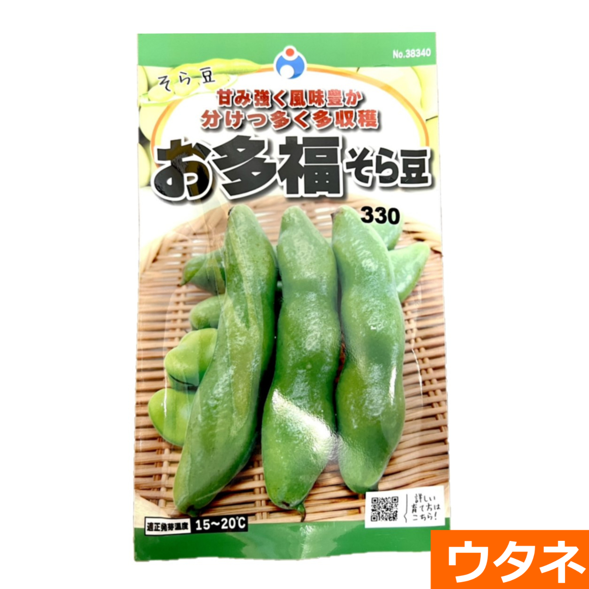 お多福そら豆（種）