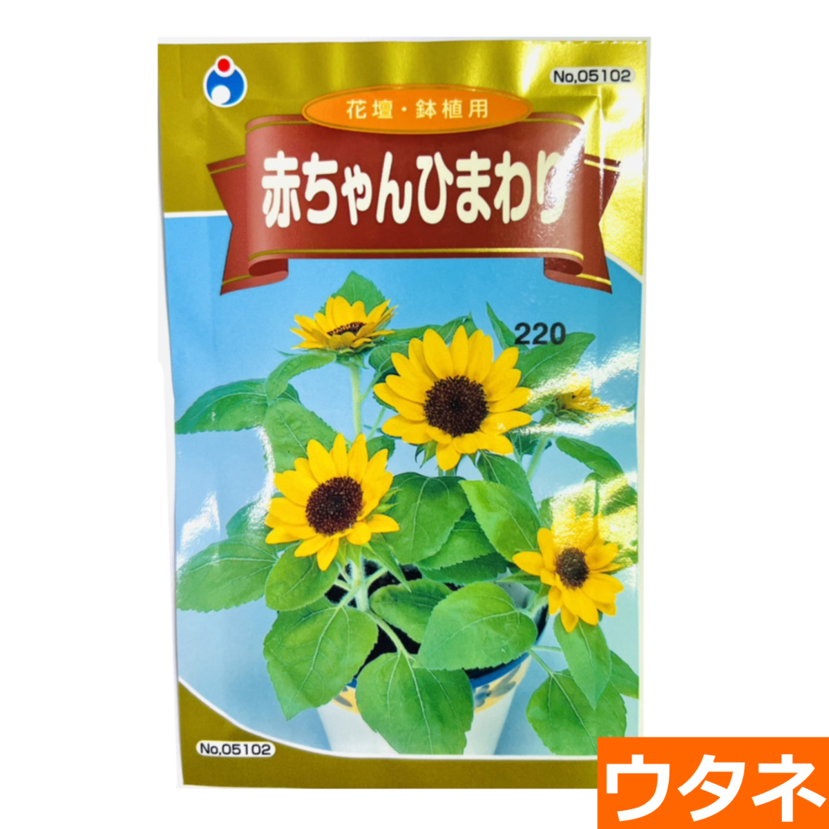 赤ちゃんひまわり（種:ウタネ） 爆買 : プロ農業 家庭菜園のお店 井手
