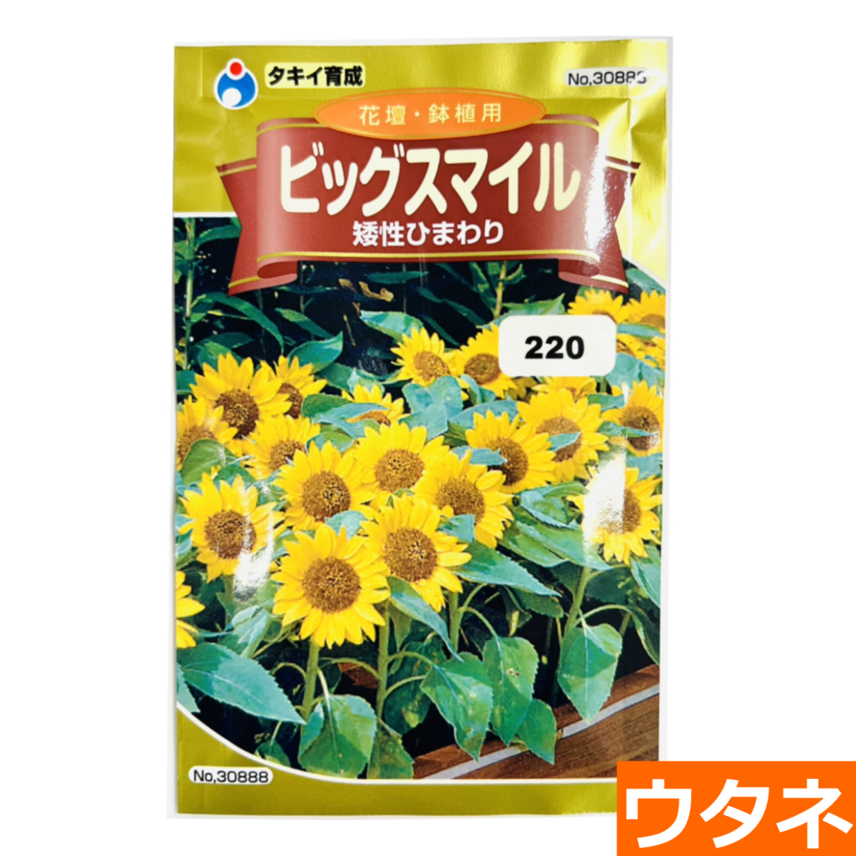 ひまわり（ぬいぐるみ）（種:ウタネ） 爆買 : プロ農業 家庭菜園のお店