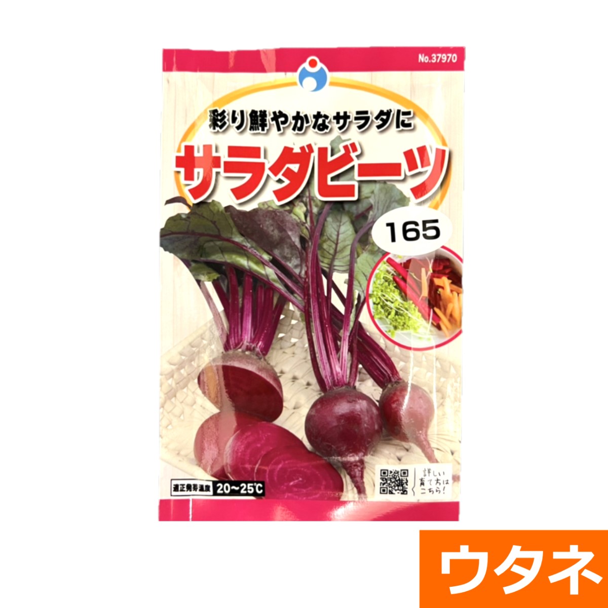 サラダビーツ（ビート）（だいこん）（種）
