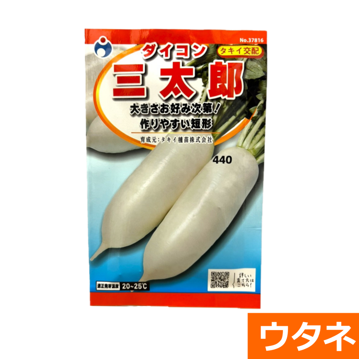 ダイコン三太郎（だいこん）（種）
