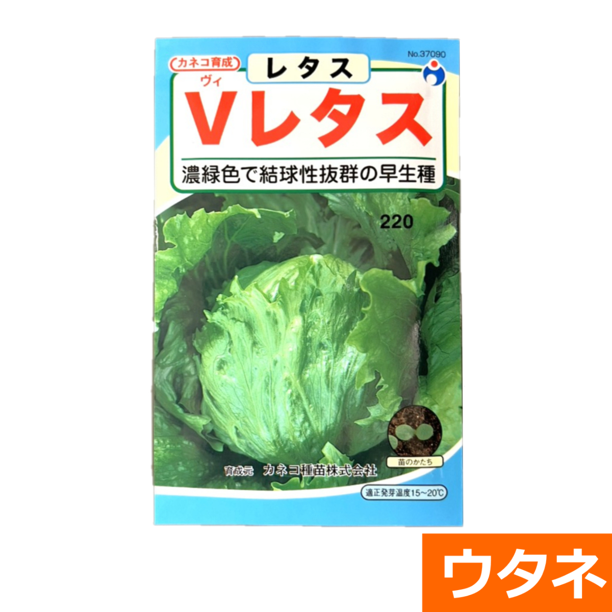 V（ヴィ）レタス