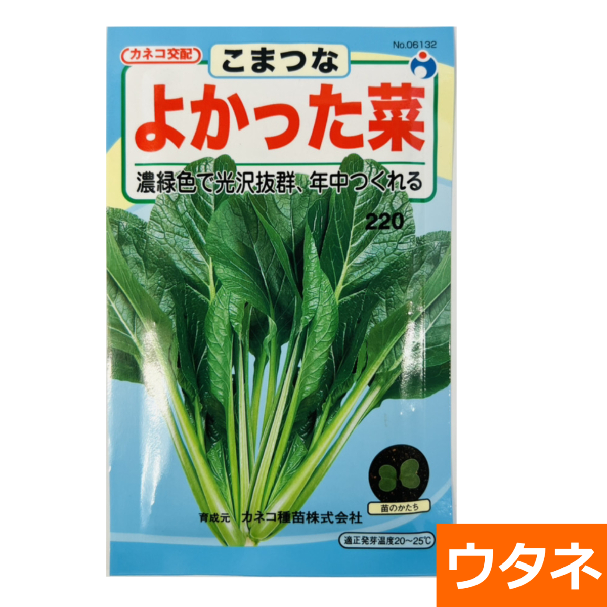 中生小松菜よかった菜（種）