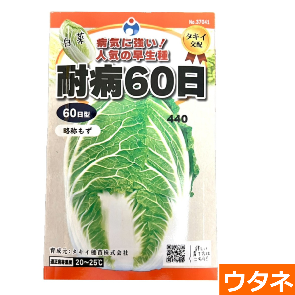 耐病60日(白菜）（種）