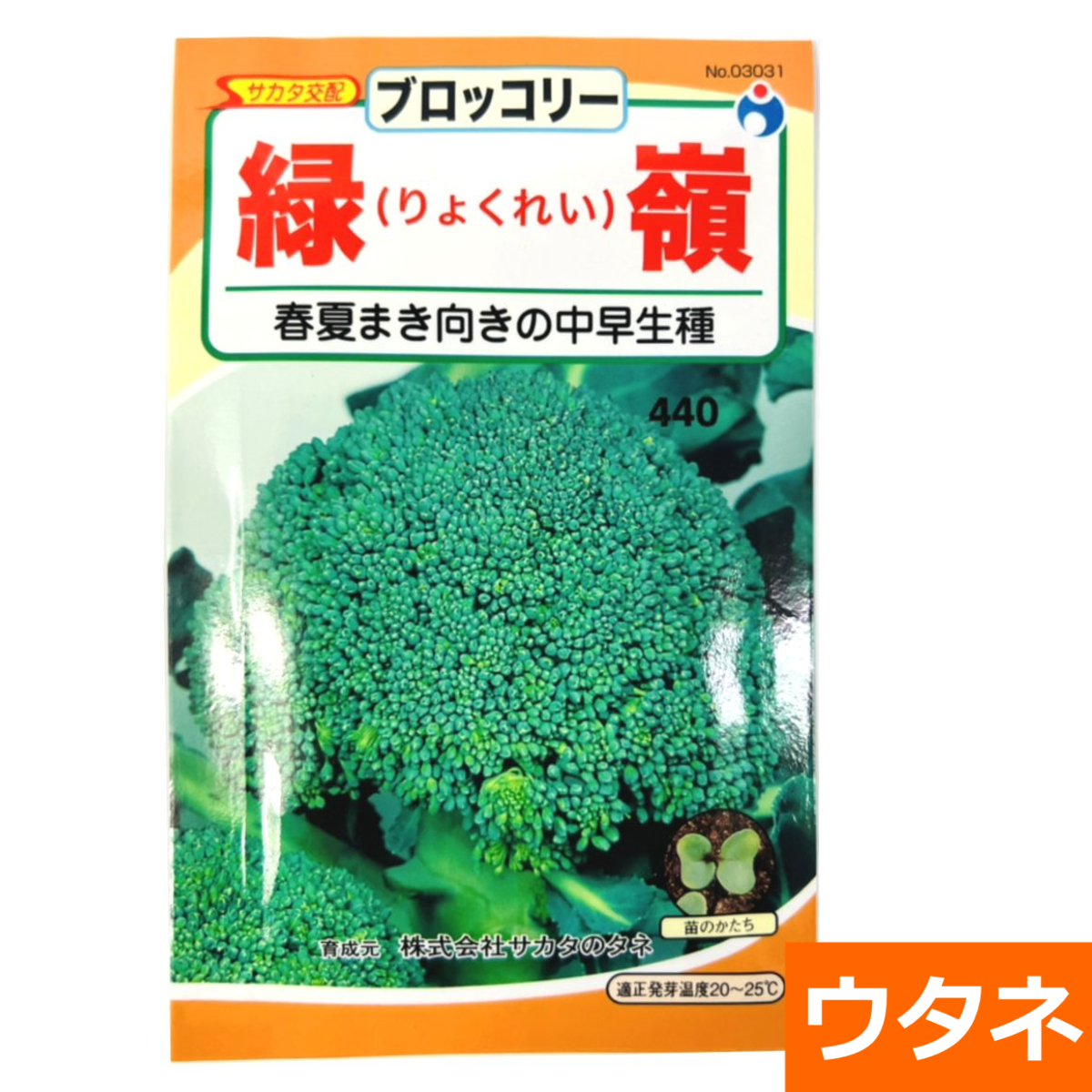 ブロッコリー　緑嶺（種）
