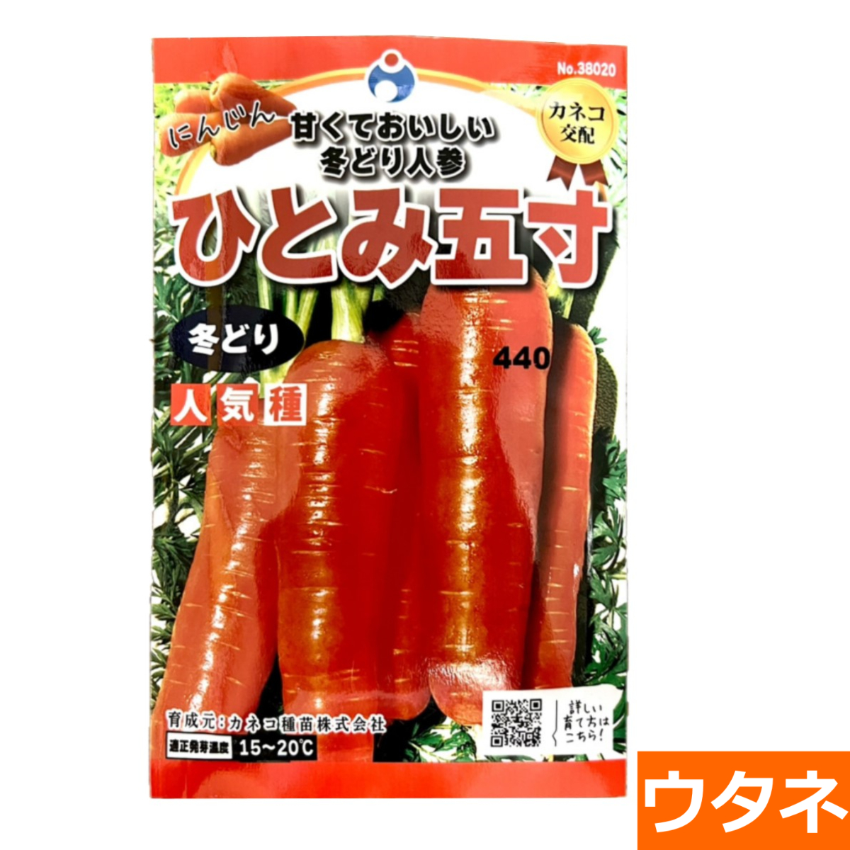 冬どりひとみ五寸（にんじん）（種）