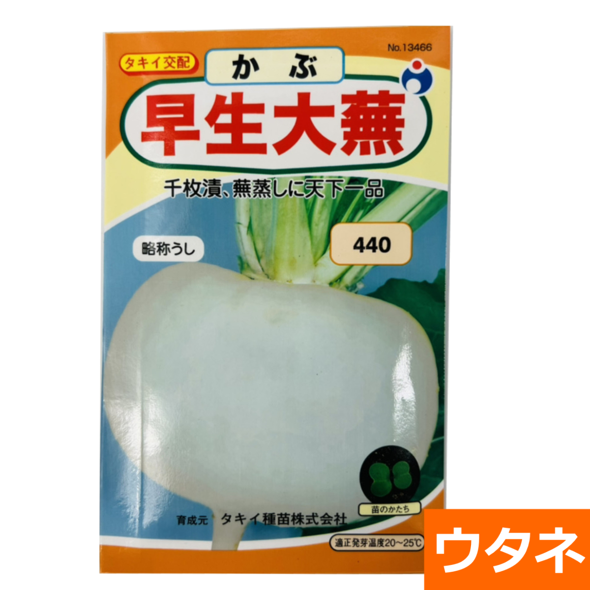 早生大蕪（略称うし）（かぶ）（種）