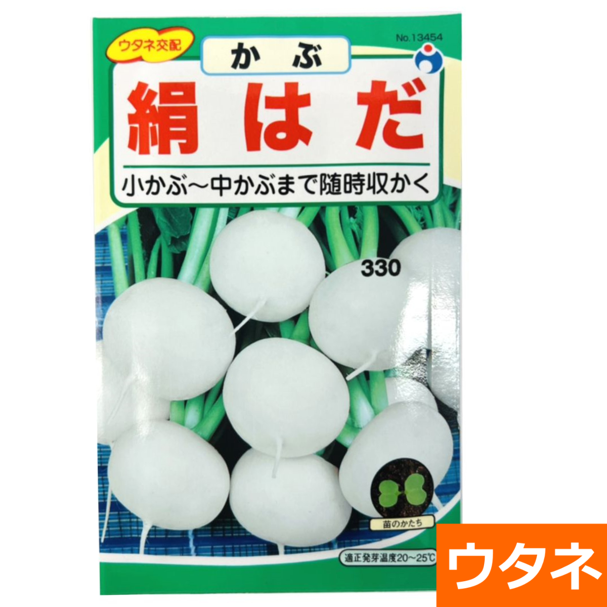 絹はだかぶ（かぶ）（種）
