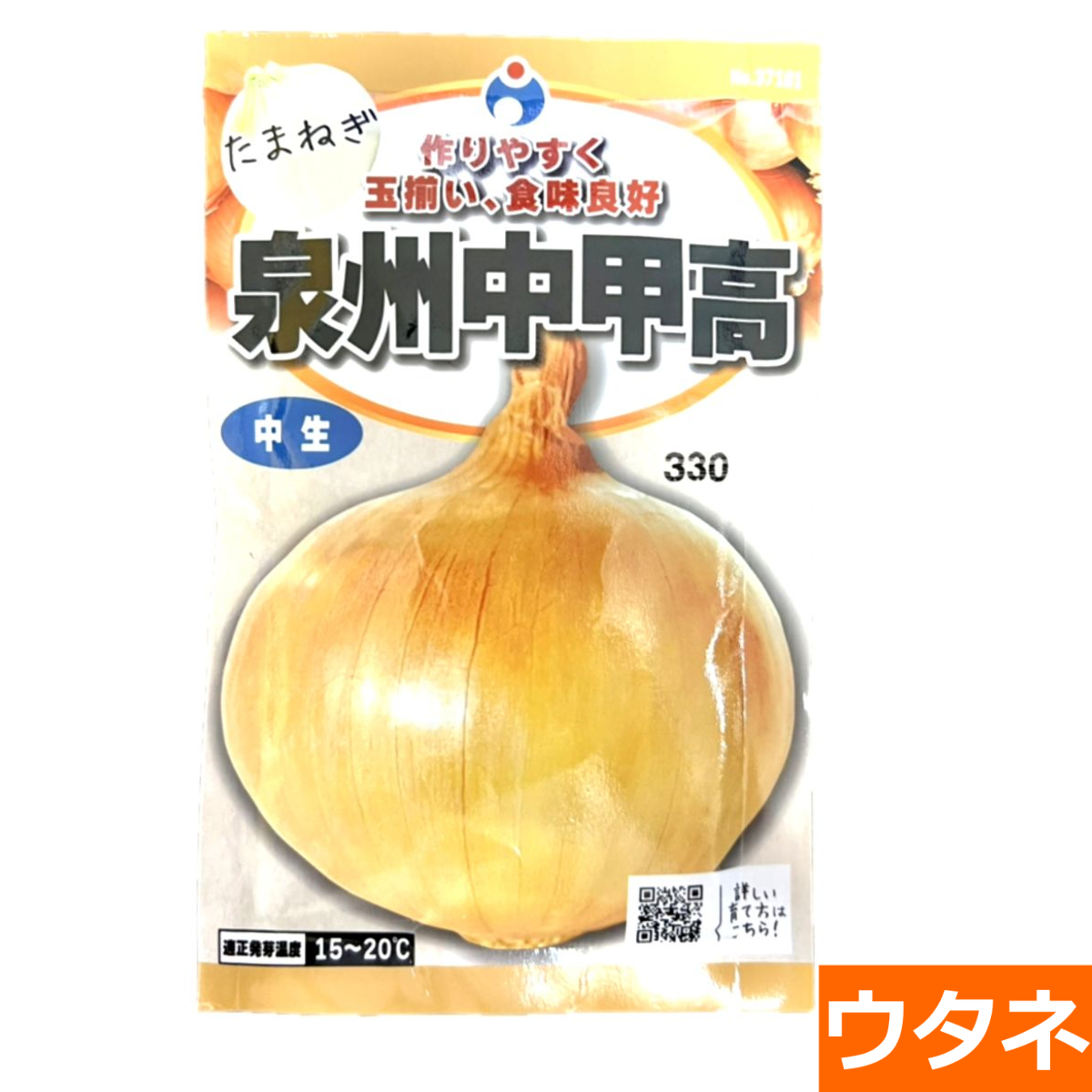 泉州中甲高（たまねぎ）（種）