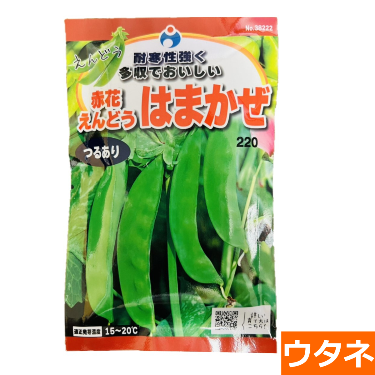 （つるあり）赤花はまかぜえんどう（種）