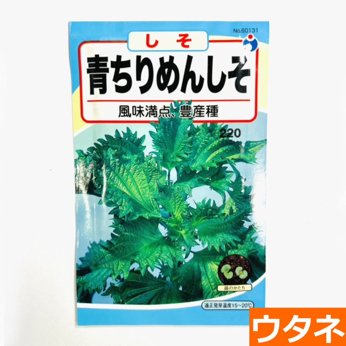 青ちりめんしそ（種）