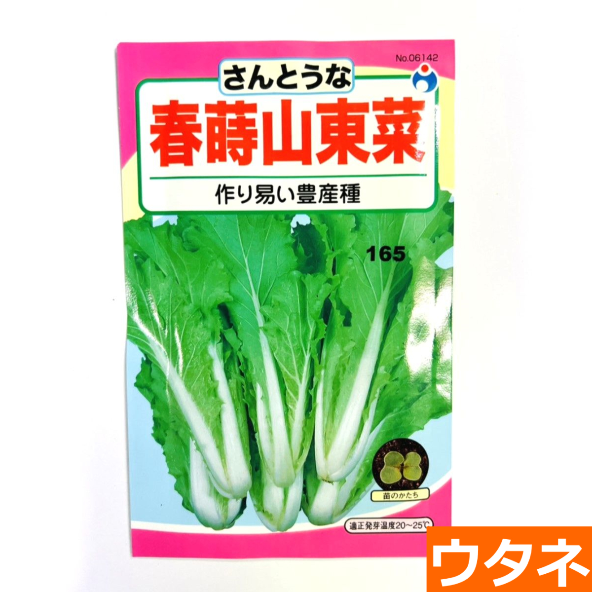 春蒔山東菜（種）