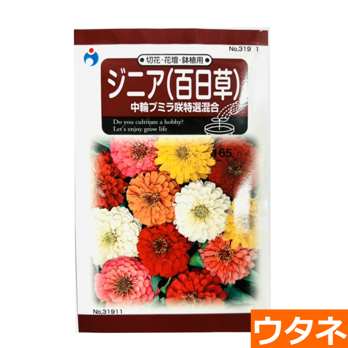 ジニア（百日草） 中輪プミラ咲特選混合（種）